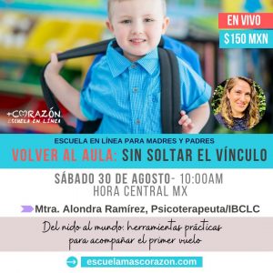 Volver al Aula: Sin soltar el vinculo